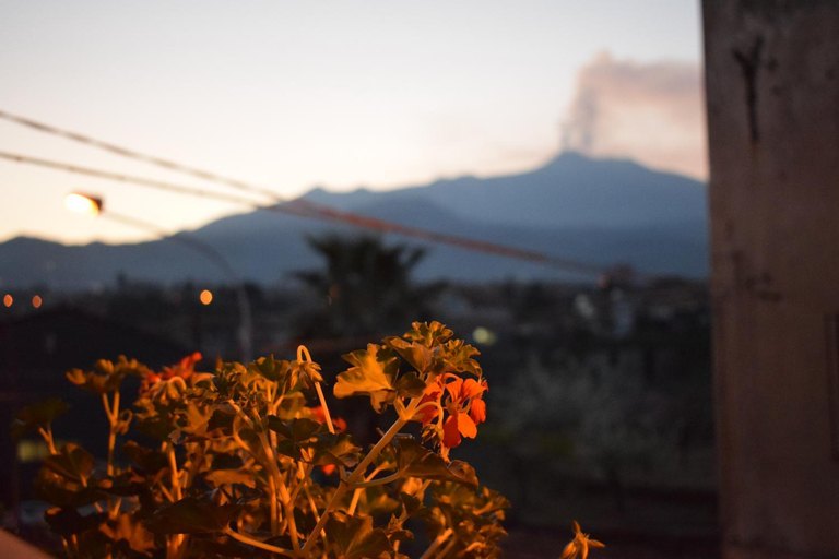 Others 3, B&B L' Aquila dell' Etna, Catania