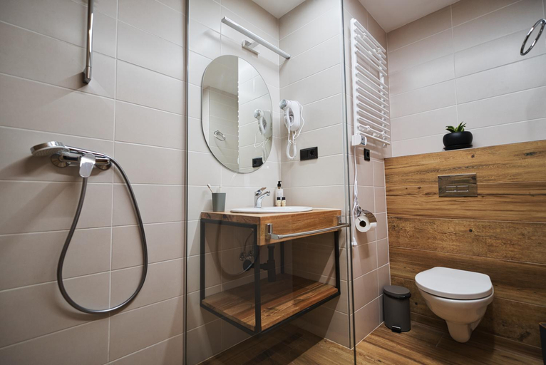 Bathroom 4, Skio, Kazbegi