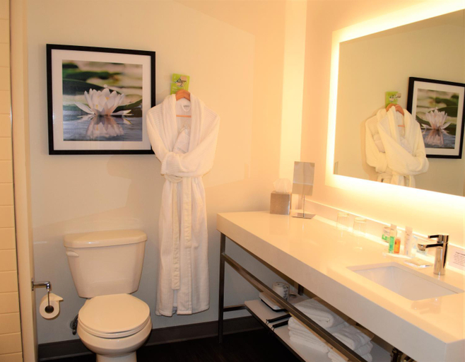 Bathroom 3, Radisson Hotel Kingswood Hotel Fredericton, NB, York