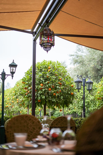 Food & Drinks 5, Al Fassia Aguedal, Marrakech