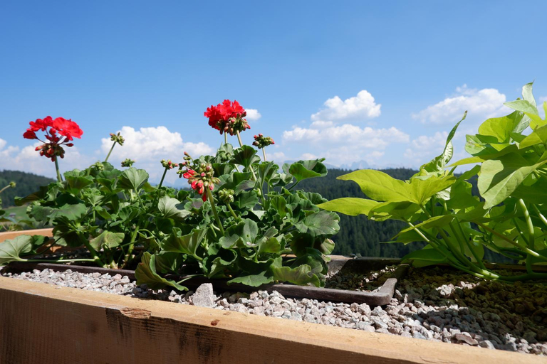 Others 5, Wolfhof_Ritten, Bolzano