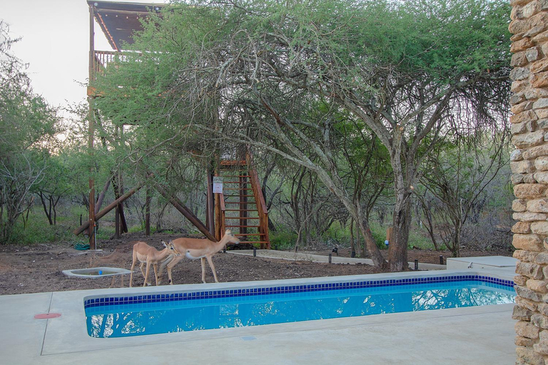 Others 4, The Duchess. Luxury Safari Villa, Ehlanzeni