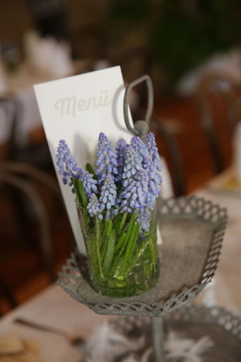 Food & Drinks 5, Gastehaus Schloss Plaue, Brandenburg an der Havel