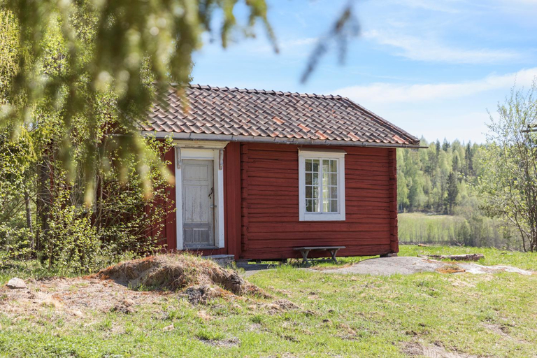 Others 4, Allsta Gard, Kramfors