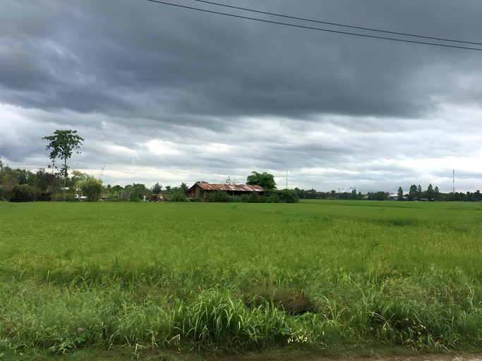 Others 5, Ban Noi Resort Phrae, Sung Men