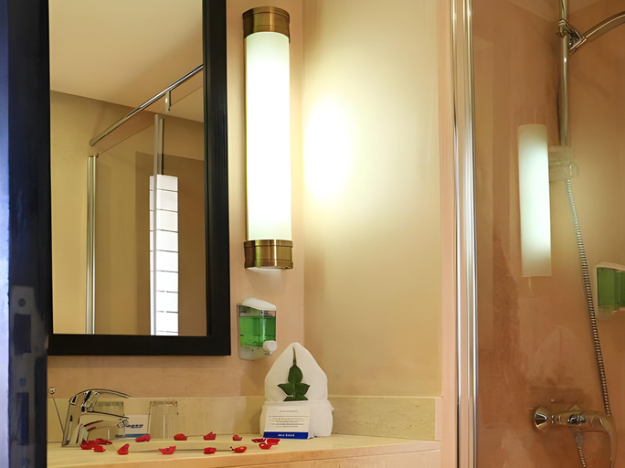 Bathroom 4, Hôtel Aqua Mirage Club All Inclusive et Aqua Parc, Marrakech