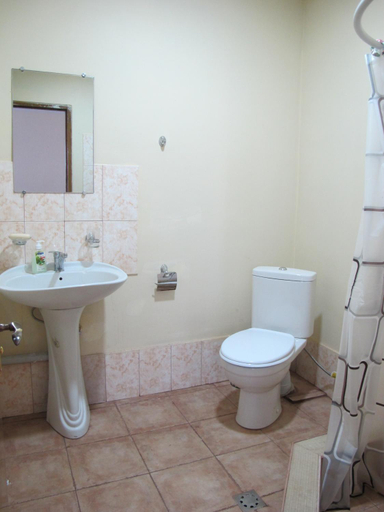 Bathroom 4, Geologist's House