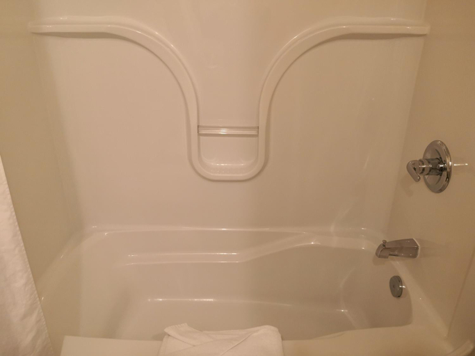 Bathroom 4, Quality Inn & Suites, Prescott and Russell
