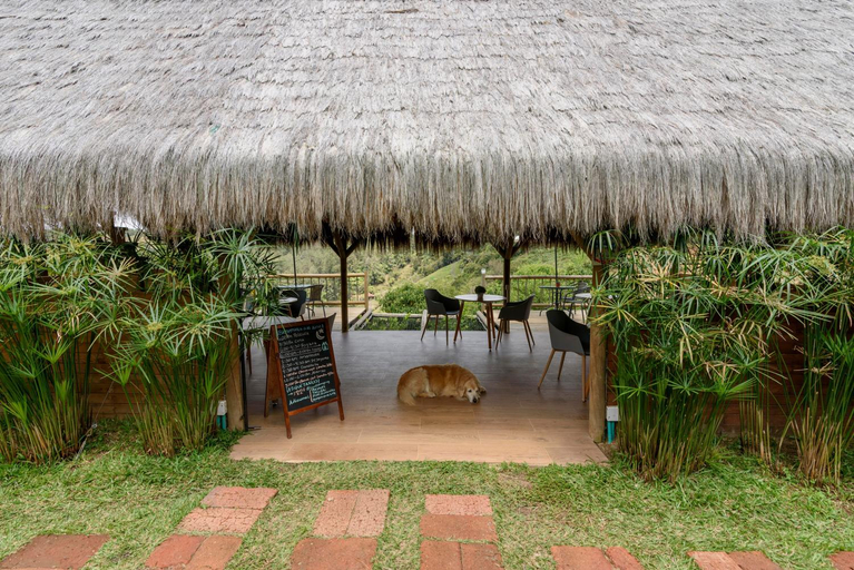 Food & Drinks 4, Levit Glamping - Hotel Frente al Embalse Guatape Penol, Peñol