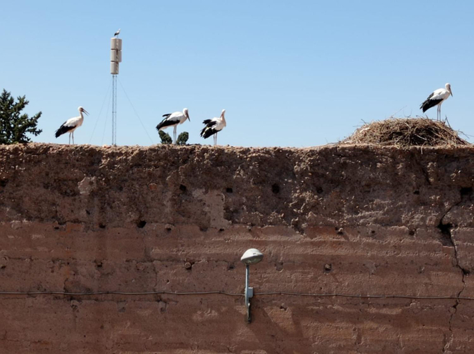 Exterior & Views, Stork Marrakech luxury Hostel, Marrakech
