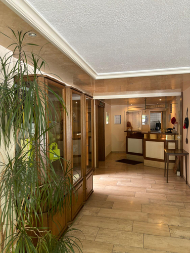 Others 5, Hotel Wasserfall, Rottweil