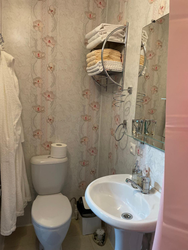 Bathroom 3, Taezhniy prival, Turochakskiy rayon
