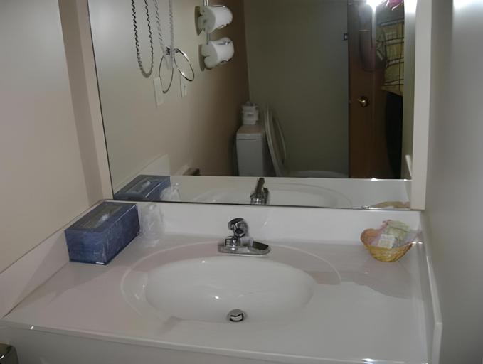 Bathroom 4, Fairway Inn Florence Indiana, Switzerland