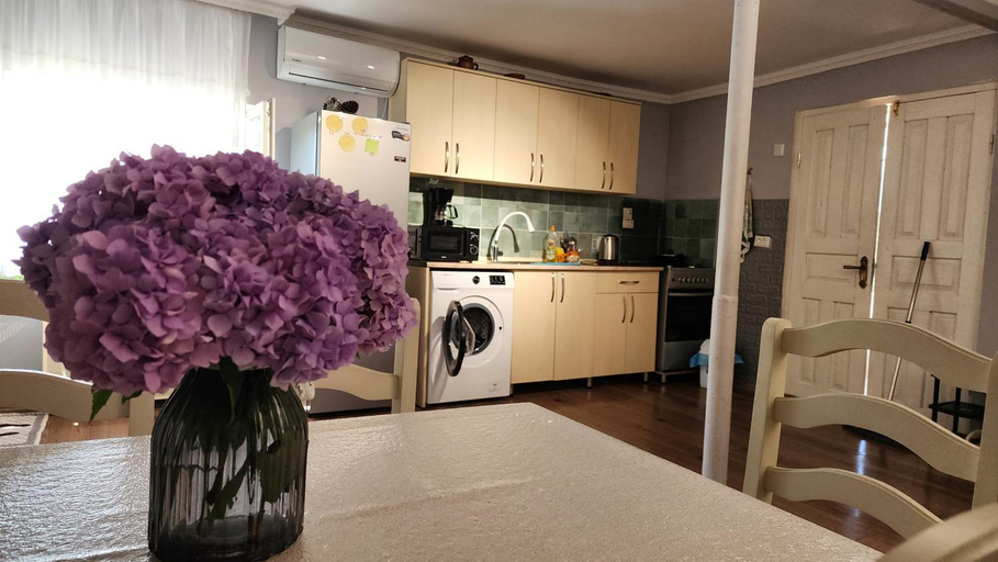 Others 5, my home, Tskaltubo
