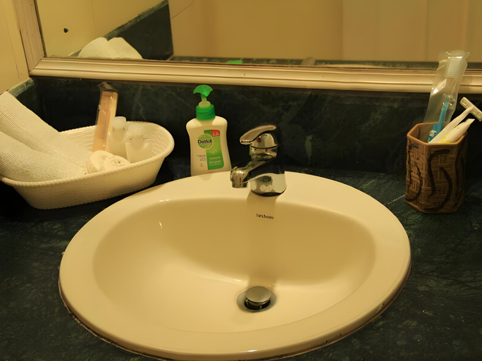 Bathroom 4, Swiss Cottages, Nainital