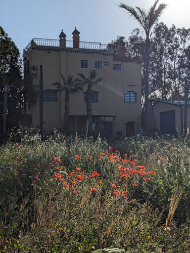 Others 4, Mesdunes, El Jadida