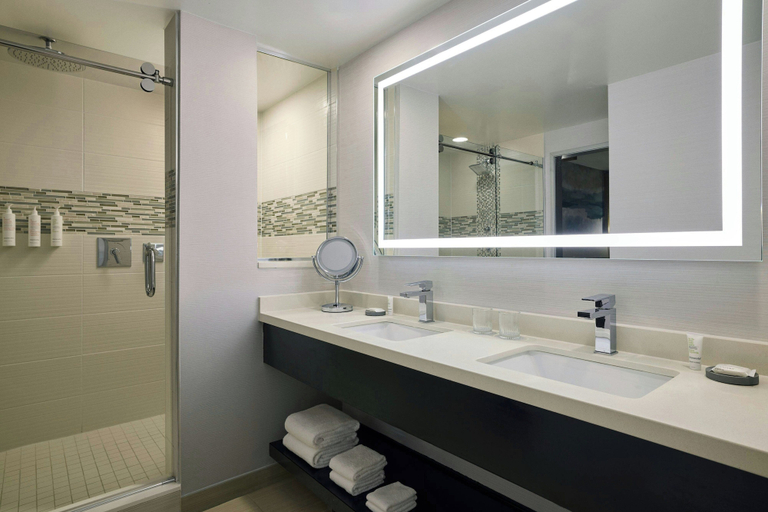 Bathroom 5, Chicago Marriott Northwest, Cook