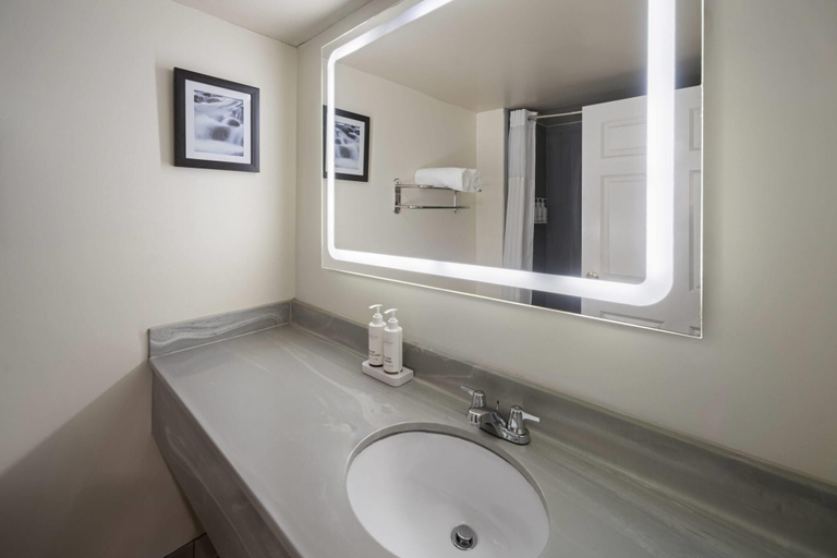 Bathroom 4, Wingate by Wyndham Augusta/Fort Eisenhower, Richmond