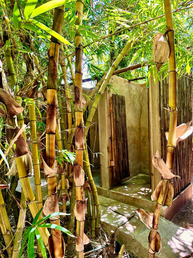 Others 3, Diani Backpackers, Msambweni