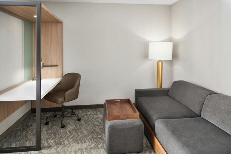 Others 4, SpringHill Suites by Marriott Lansing, Eaton