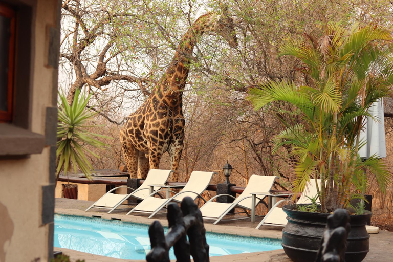 Sport & Beauty 2, African Rock Lodge, Mopani