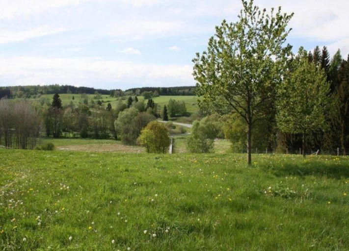 View from property 2, Nice Apartment in Allrode With Private Terrace, Harz