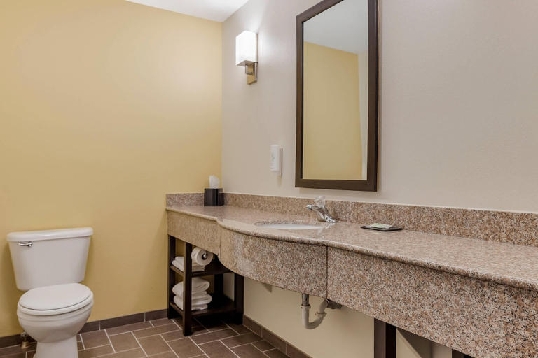 Bathroom 4, Sleep Inn & Suites Wisconsin Rapids, Wood