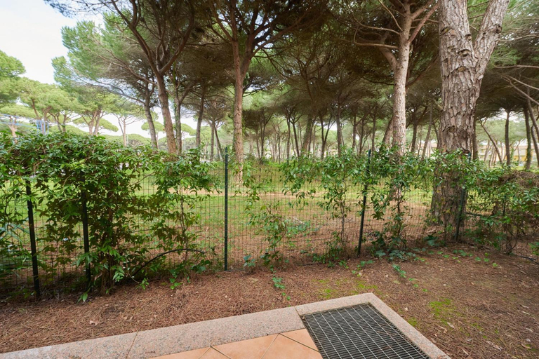 Others 4, Pineta Azzurra, Grosseto