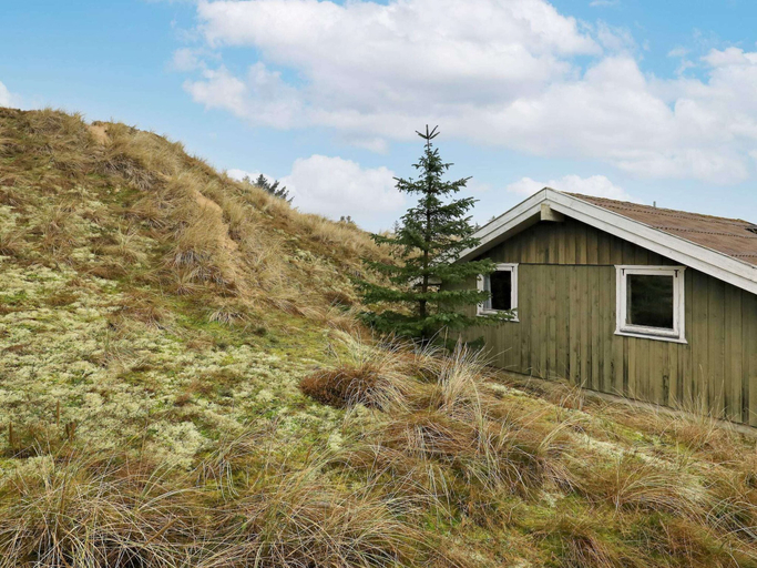 Others 5, 4 Person Holiday Home in Blokhus, Jammerbugt