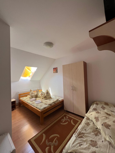 Others 5, Casa Roland, Sovata