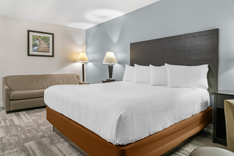 Bedroom 3, Best Western Lakewinds, Mason