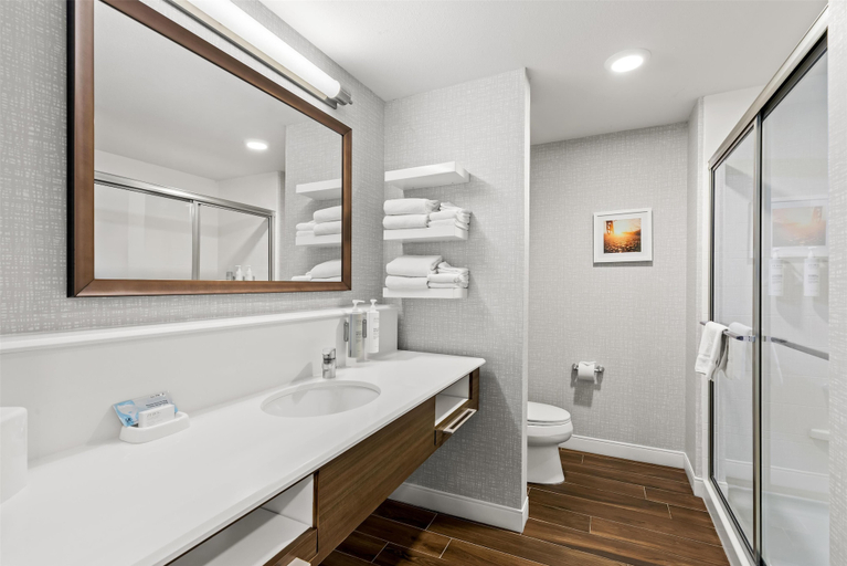 Bathroom 3, Hampton Inn Fond du Lac, Fond du Lac