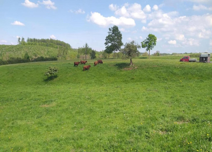 View from property 5, Nice Apartment in Allrode With Private Terrace, Harz