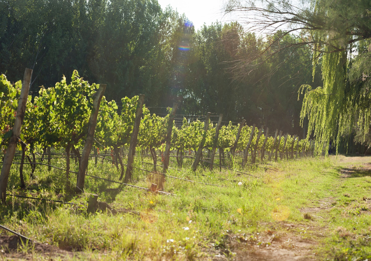 Winery 3, Postales by DOT Boutique, Tunuyán