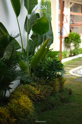 Others 3, MON House, Phan Thiết