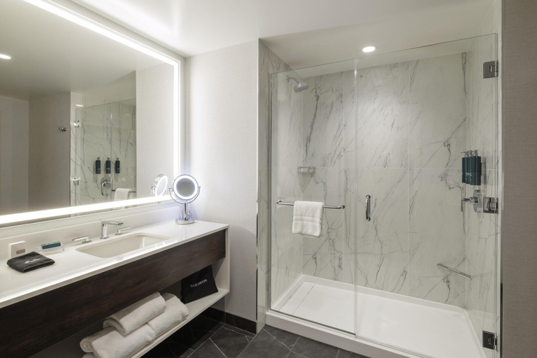 Bathroom 4, Hilton Arlington Rosslyn The Key, Arlington