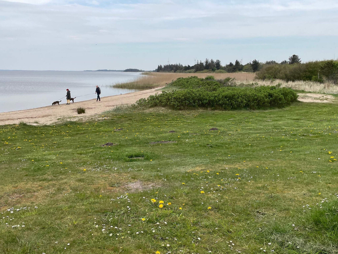Others 5, 6 Person Holiday Home in Hemmet, Ringkøbing-Skjern
