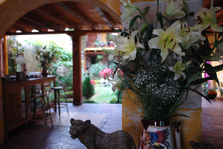 Others 5, Hotel Posada Primavera, San Cristóbal de las Casas