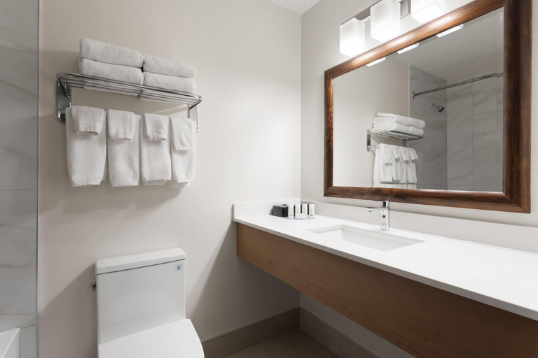 Bathroom 4, Travelodge by Wyndham Blairmore, Division No. 15