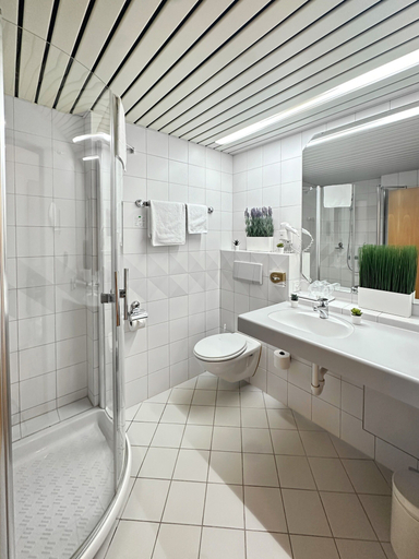 Bathroom 5, Centra Hotel Zurich, Uster