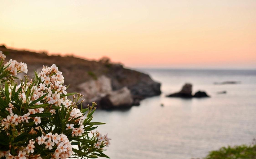 Others 3, Angeliki Private Panorama House, by Elefthia Syros, South Aegean