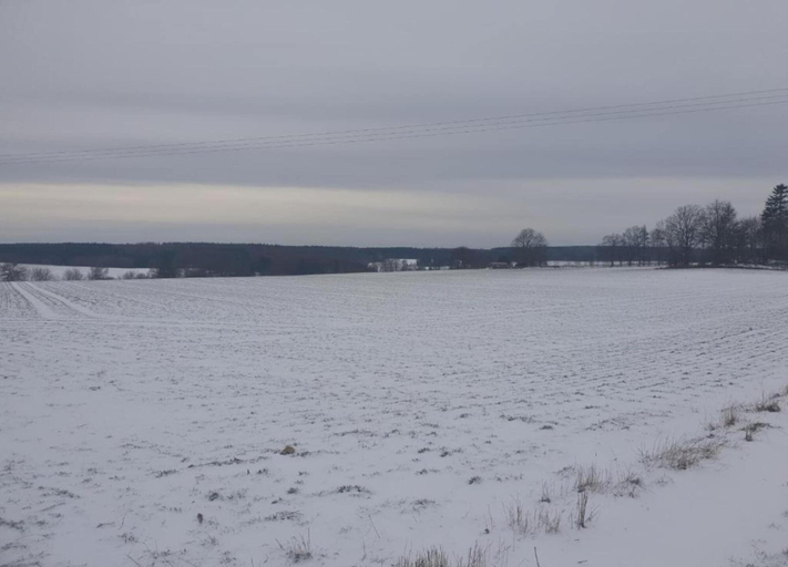View from property 4, Nice Apartment in Allrode With Private Terrace, Harz