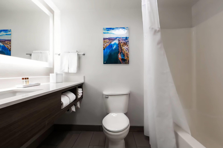 Bathroom 4, Wingate by Wyndham Augusta Washington Road, Richmond