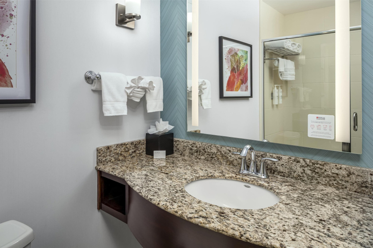 Bathroom 4, Hilton Garden Inn Eugene/Springfield, Lane