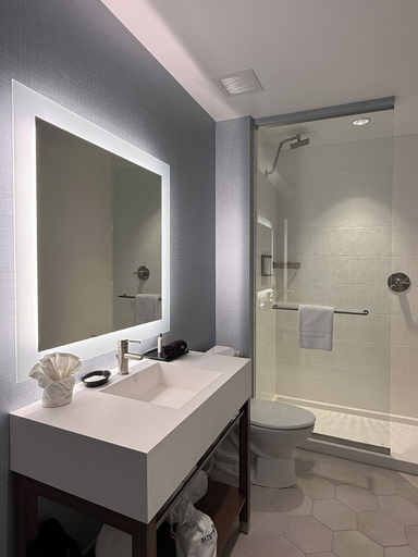 Bathroom, William F. Bolger Center, Montgomery