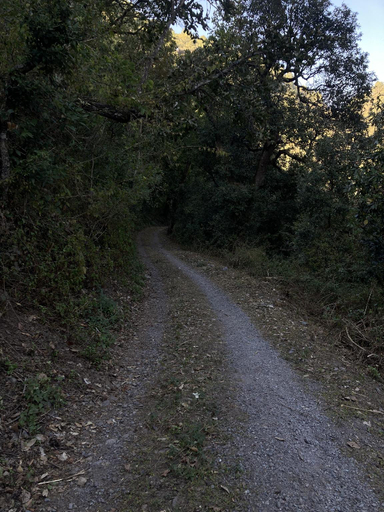 Surrounding environment, Sattal Valley Resort, Nainital