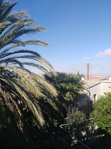 Others 5, Avli-the courtyard