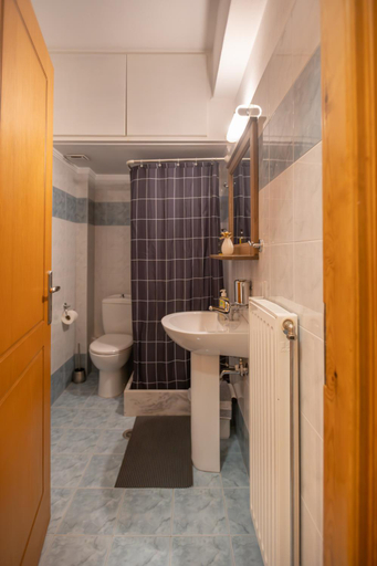 Bathroom 3, XENONAS DRIMOS, Central Greece