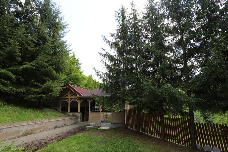 Others 4, Casuta cu Zorele, Sugag