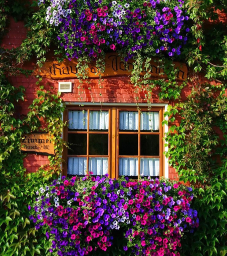 Others 3, Haus Am Tannenhain, Breisgau-Hochschwarzwald